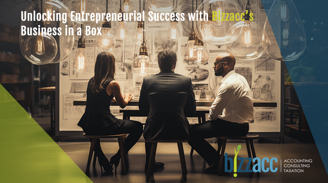 Unlocking Entrepreneurial Success: Bizzacc Business in a Box